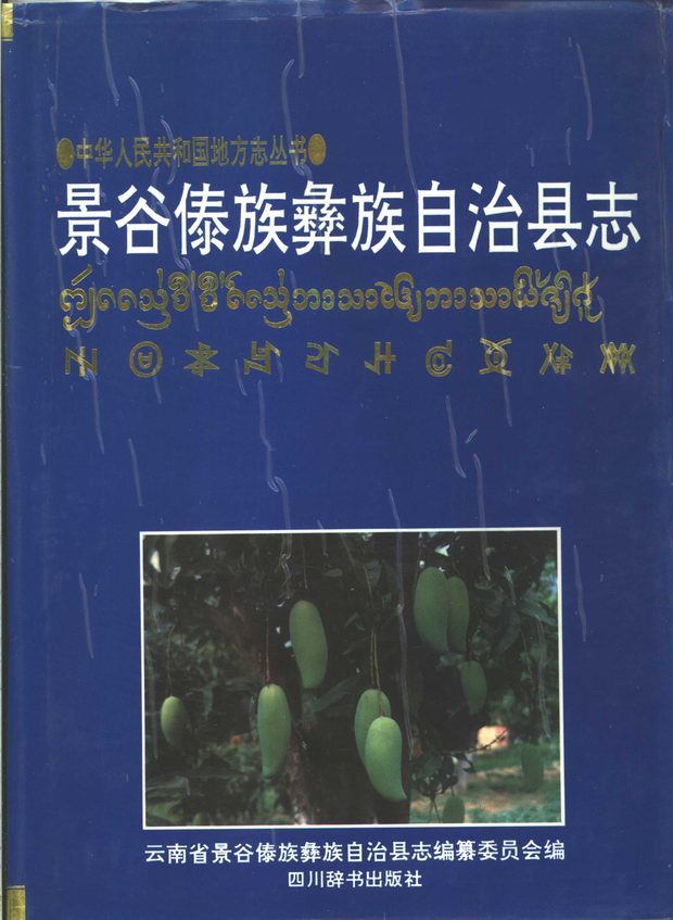 景谷傣族彝族自治县志 原书书衣影印