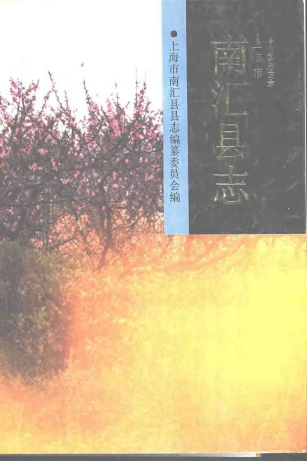 南汇县志 原书书衣影印