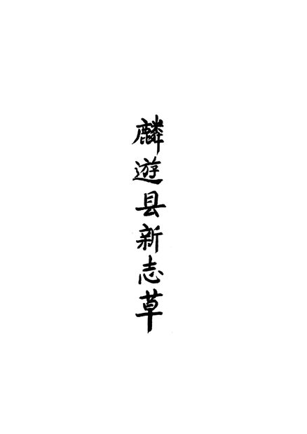 麟游县新志 原书书衣影印