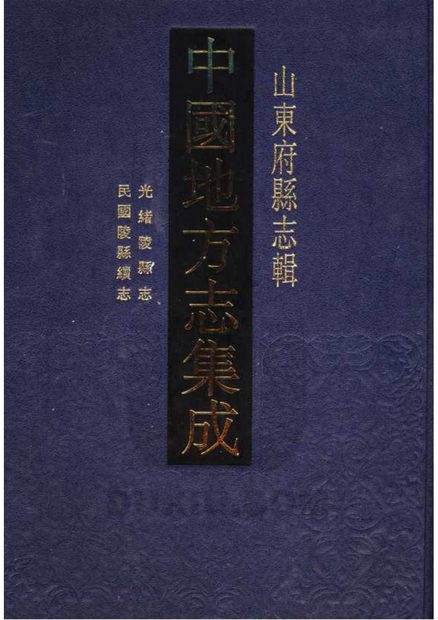 陵县志 原书书衣影印