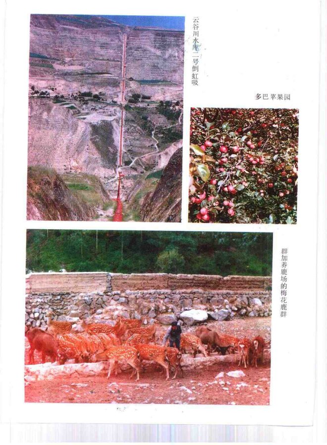 湟中县志 书影 6