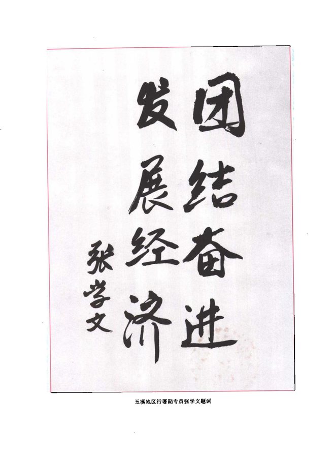 元江哈尼族彝族傣族自治县志 书影 3