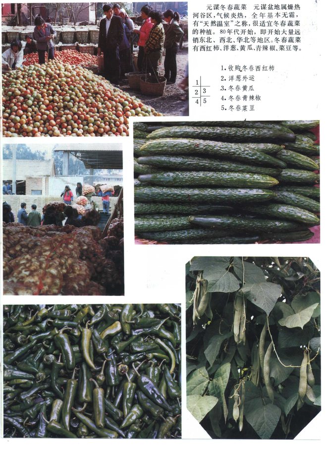元谋县志 书影 5