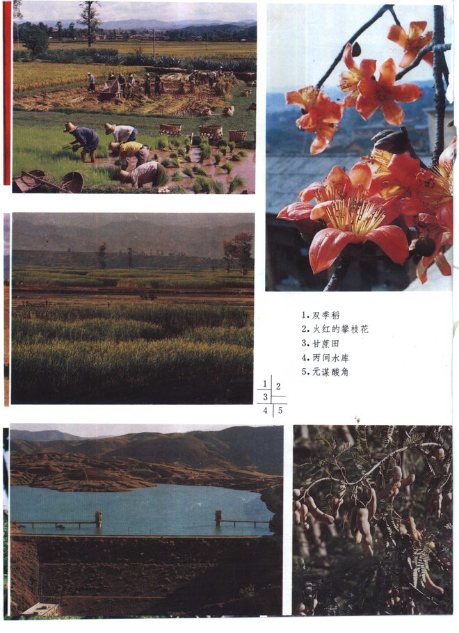 元谋县志 书影 6