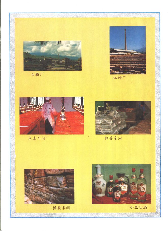 双江拉祜族佤族布朗族傣族自治县志 书影 5