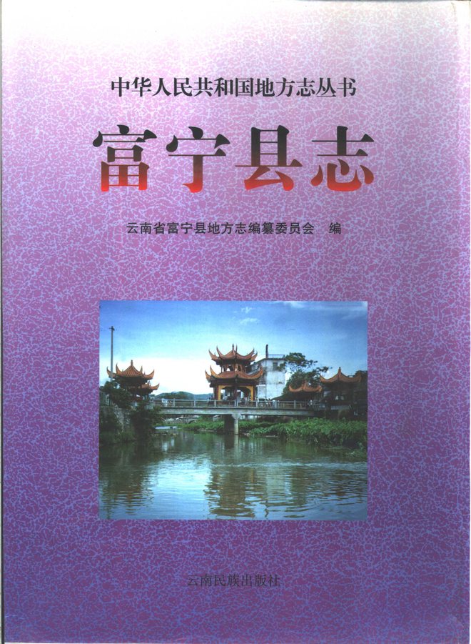 富宁县志 书影 1