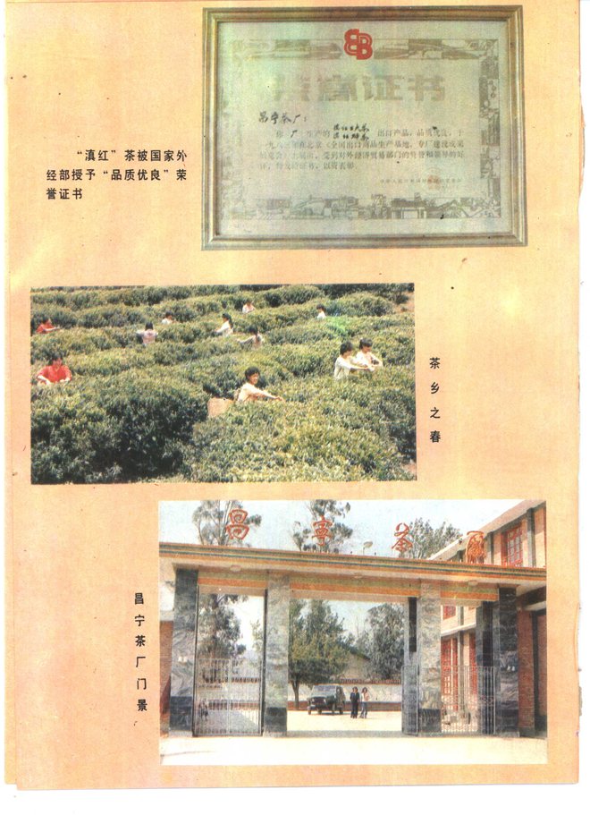 昌宁县志 书影 6