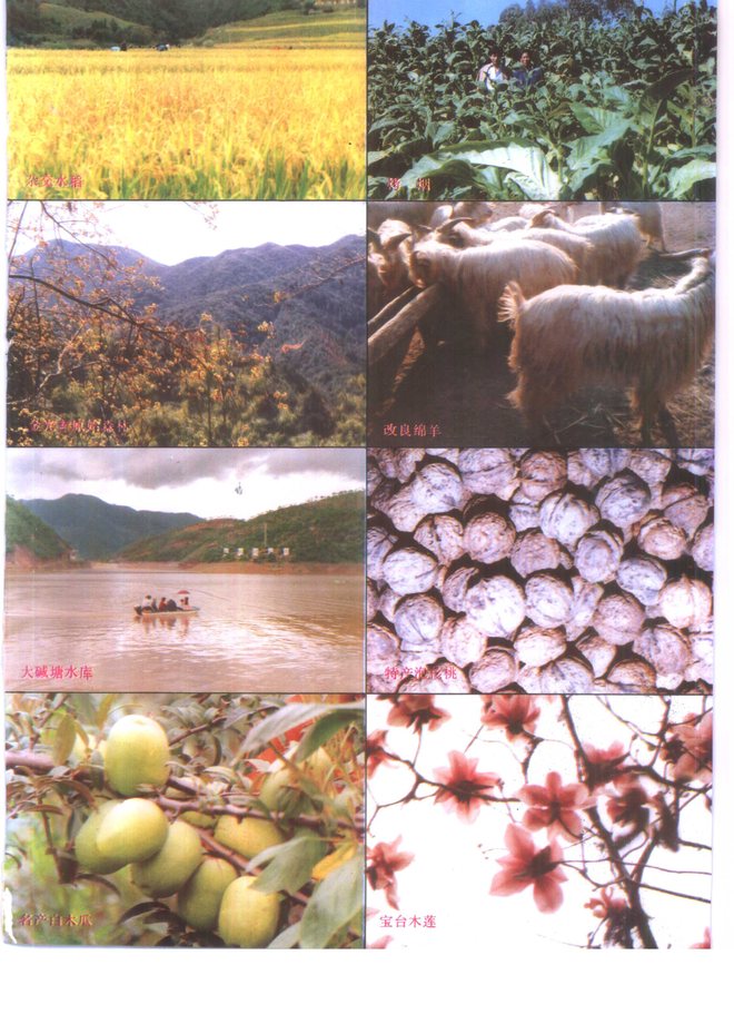 永平县志 书影 5
