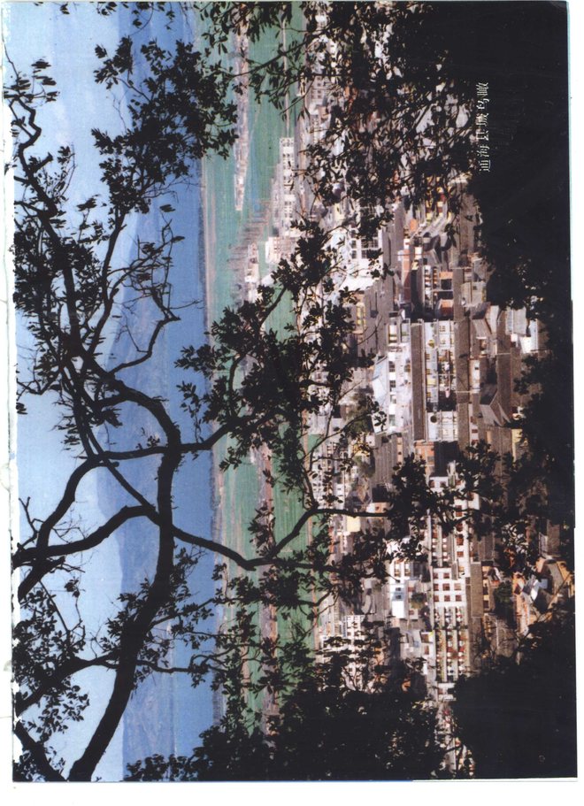 通海县志 书影 3