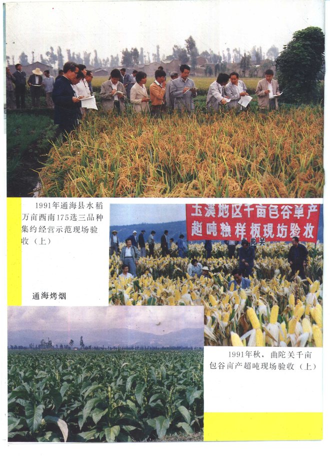 通海县志 书影 6