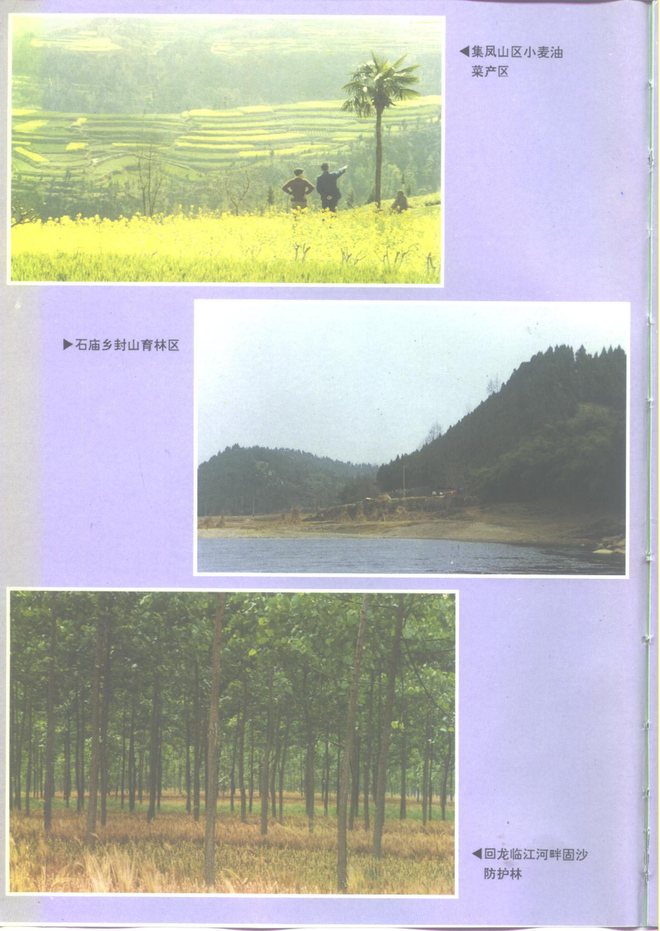 中江县志 书影 6
