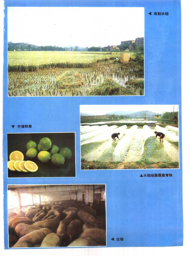 安岳县志 书影 5