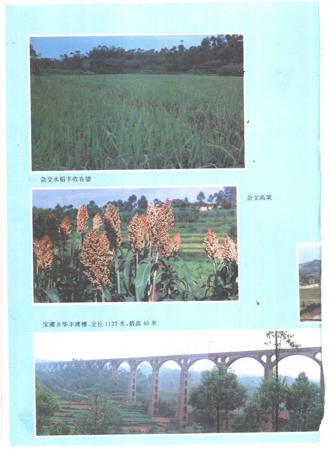 泸县志 书影 4
