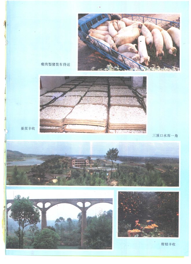 泸县志 书影 5
