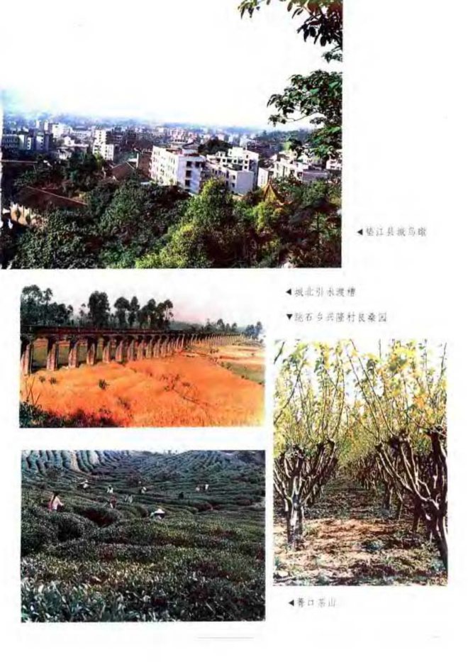 重庆市垫江县志 书影 6