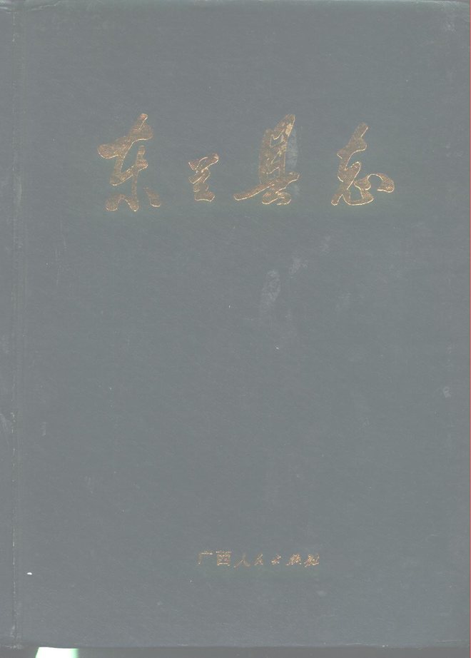 广西东兰县志 书影 1