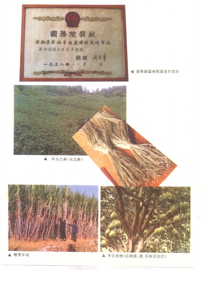 广西平乐县志 书影 6