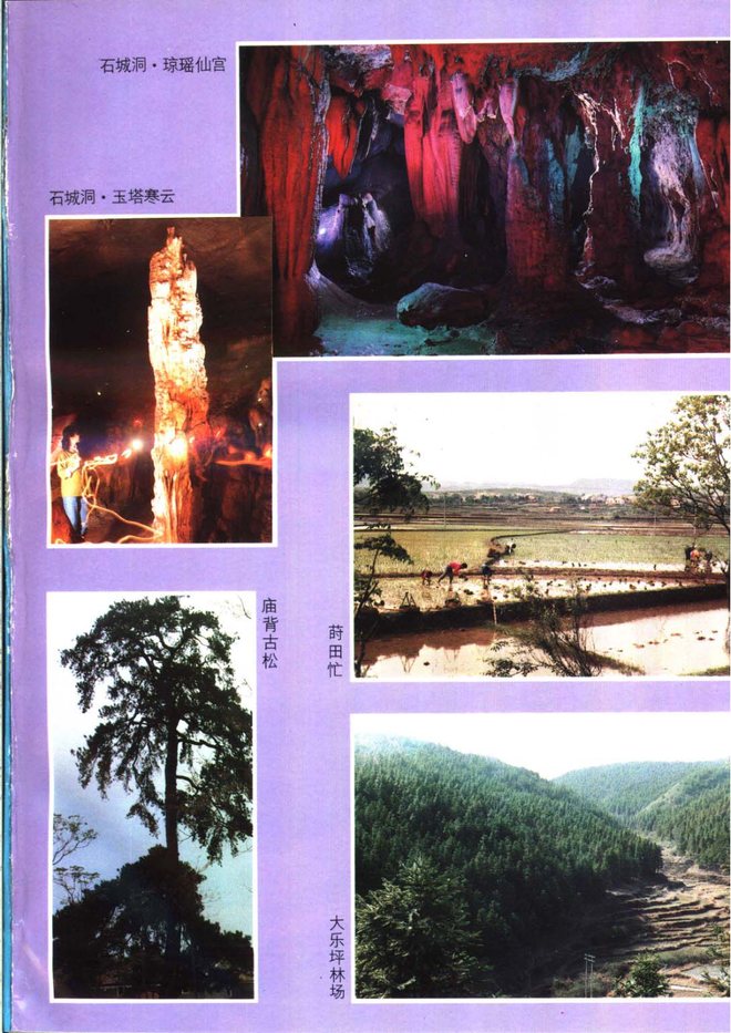 莲花县志 书影 4