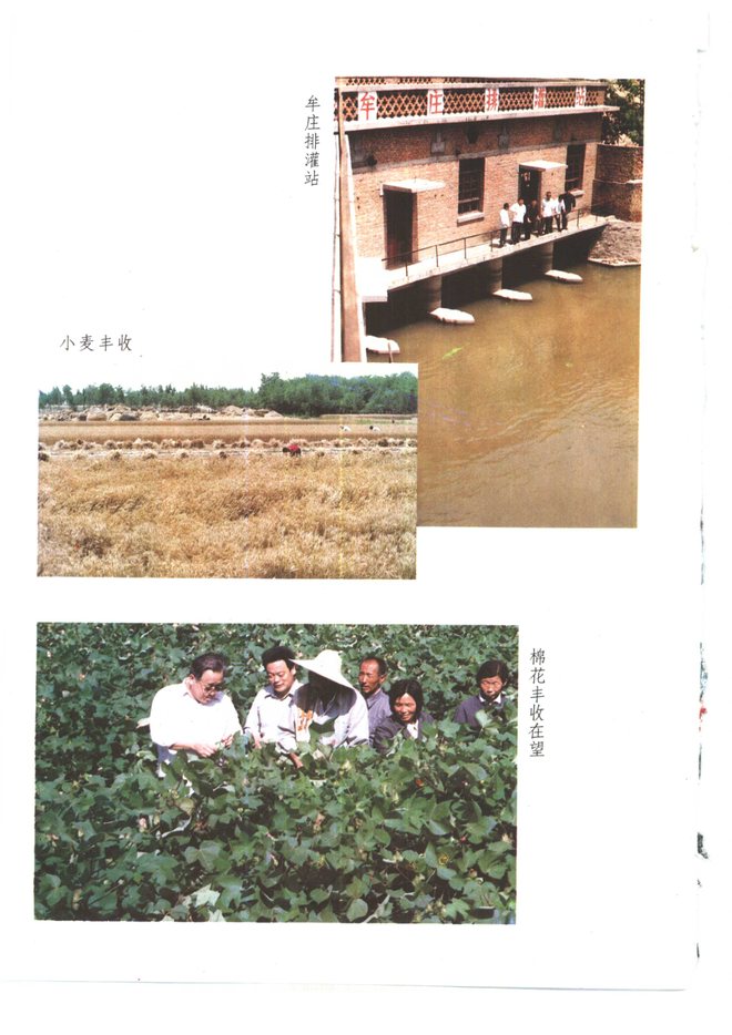夏津县志 书影 4