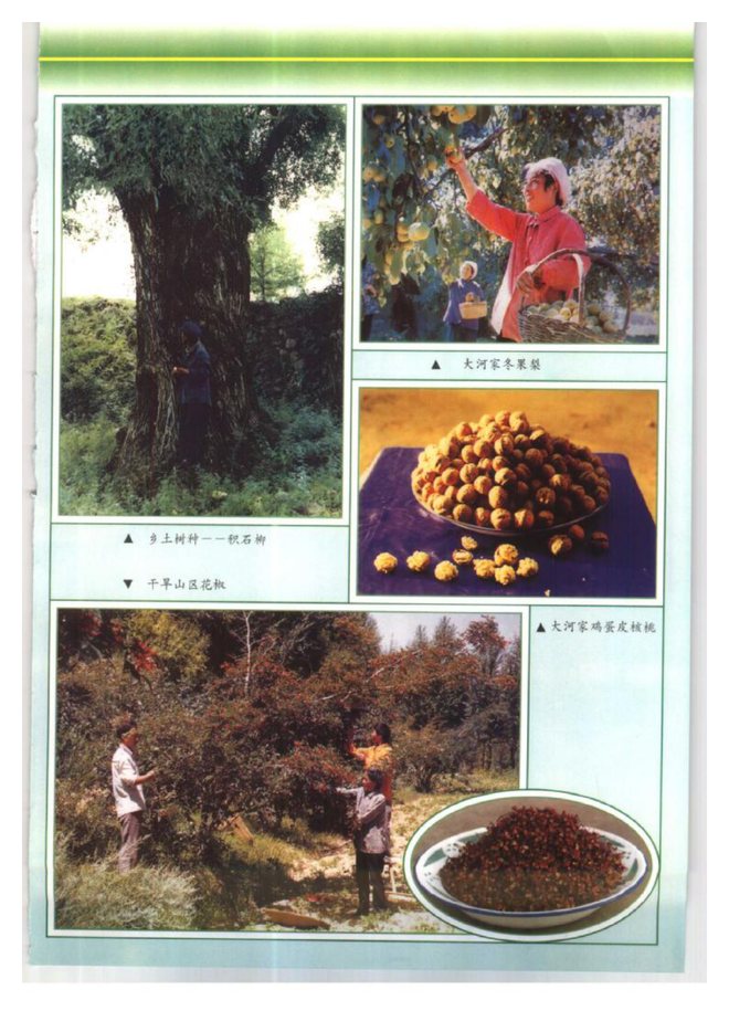 积石山保安族东乡族撒拉族自治县志 书影 6